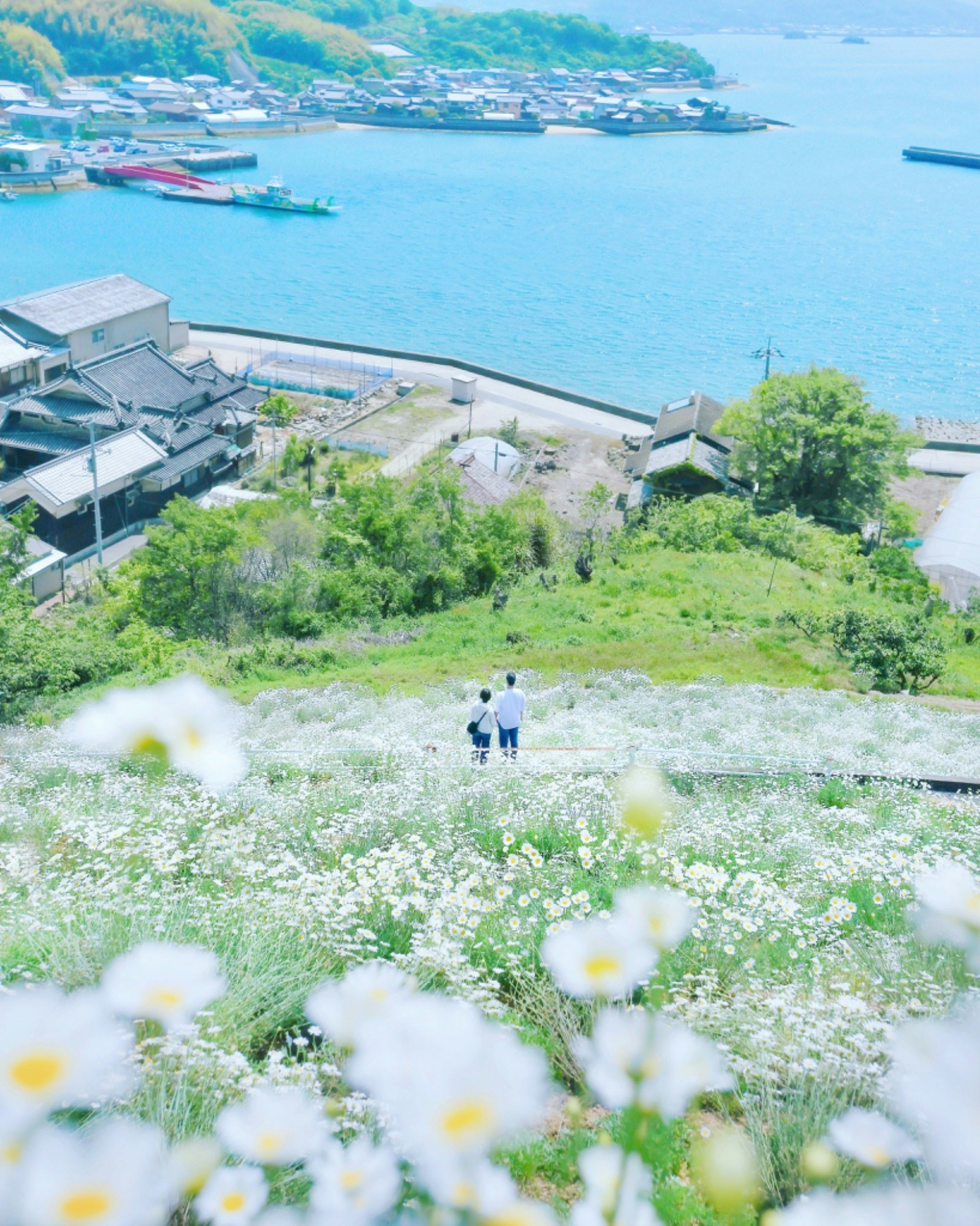 🌸 꽃 정원(인노시마 플라워 센터) 이미지 9